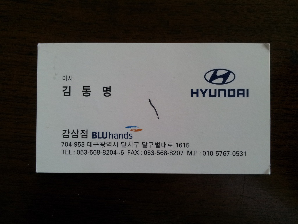 현대블루핸즈 이미지