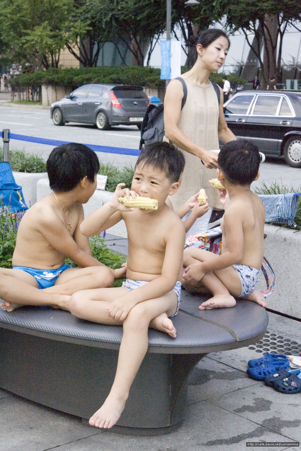 진달래먹고물장구치고 이미지