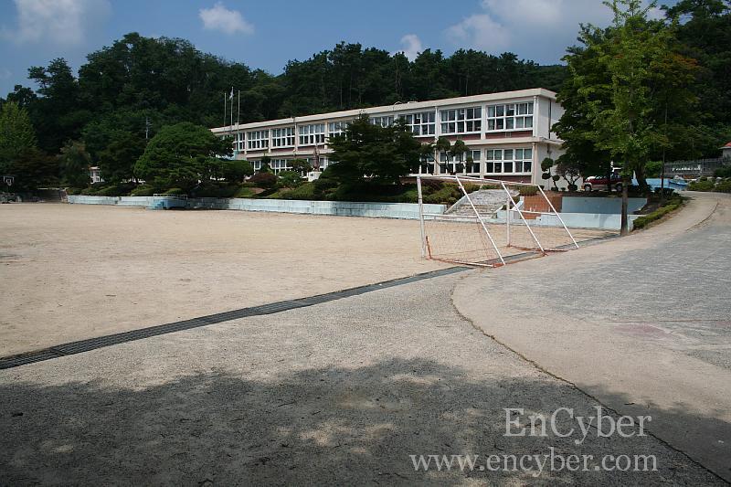 제일초등학교 이미지