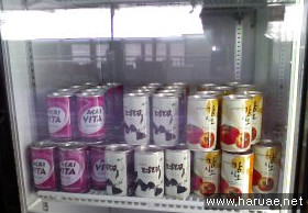 하루애 이미지