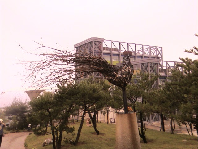 하슬라 이미지
