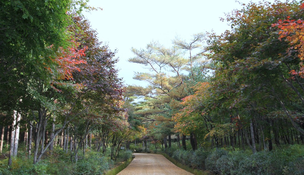새재주유소 이미지