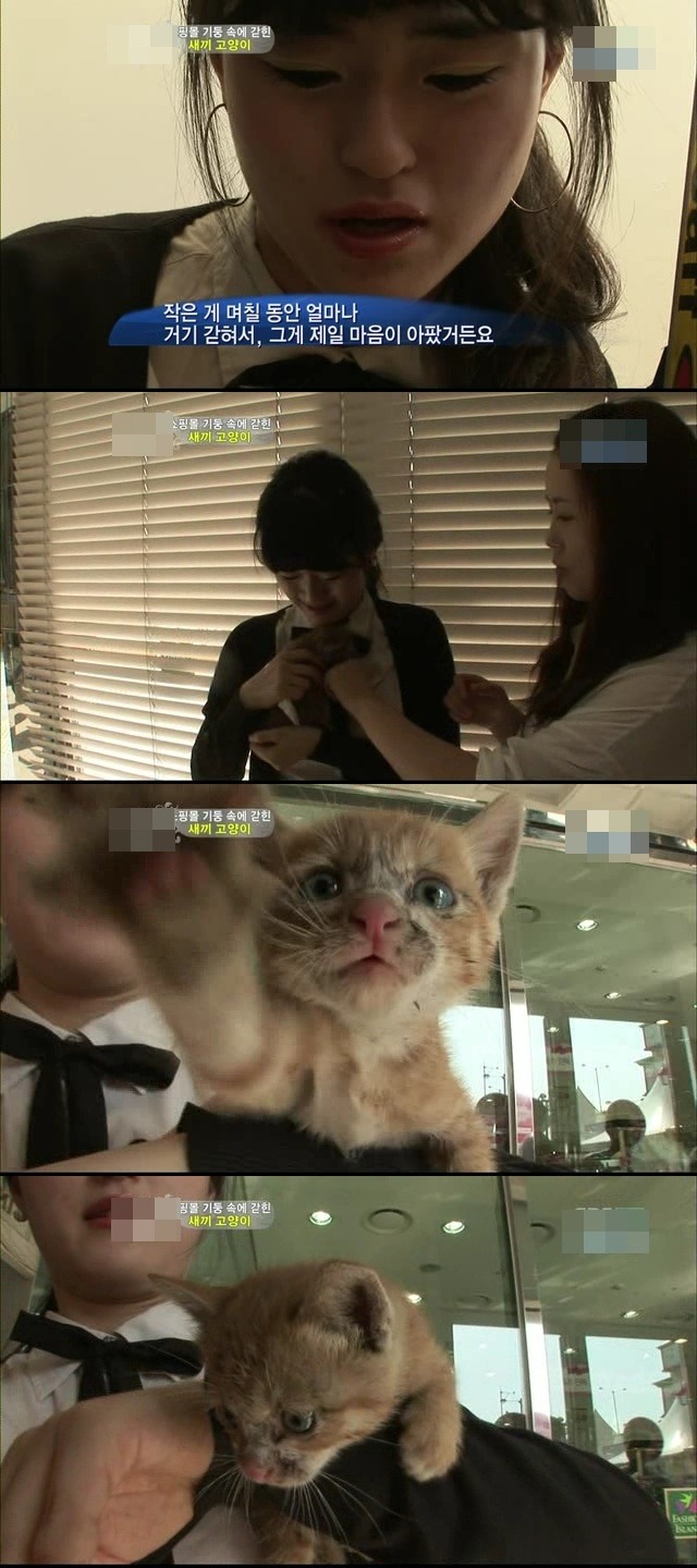 예뻐예 이미지