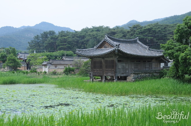 가비빈 이미지