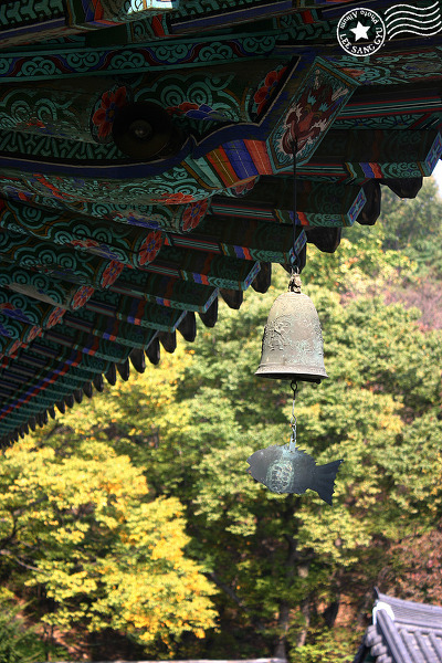 학림사 이미지