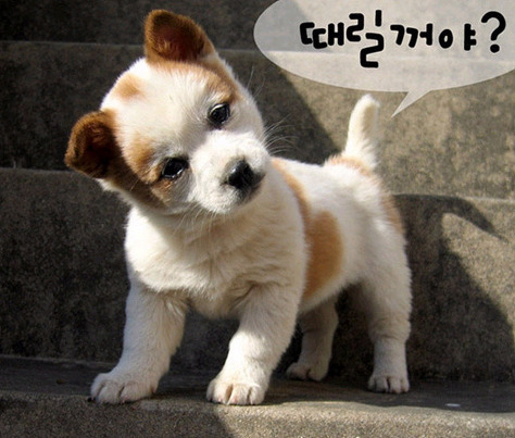 빵긋 이미지