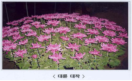 옥림 이미지