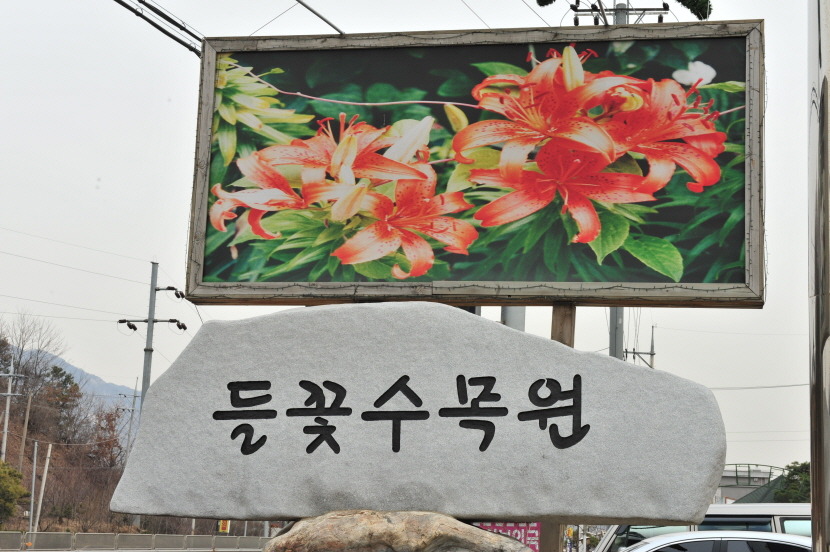들꽃수목원 이미지