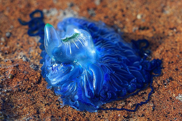 1946635A4D4E95D31F98DB