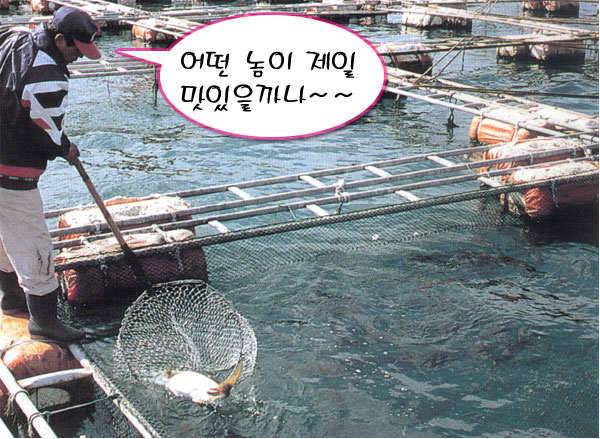 어장관리하는남자 이미지