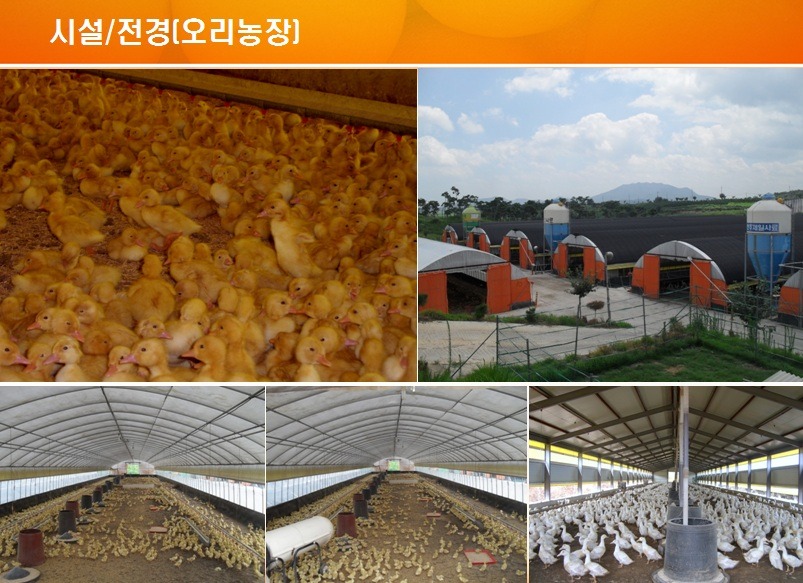 유성농산 이미지