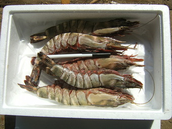 (주)석하 이미지