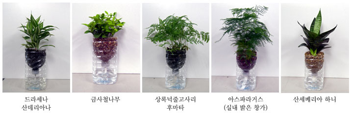 녹색인테리어 이미지