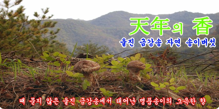 대림농산 이미지