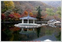 추령주유소 이미지