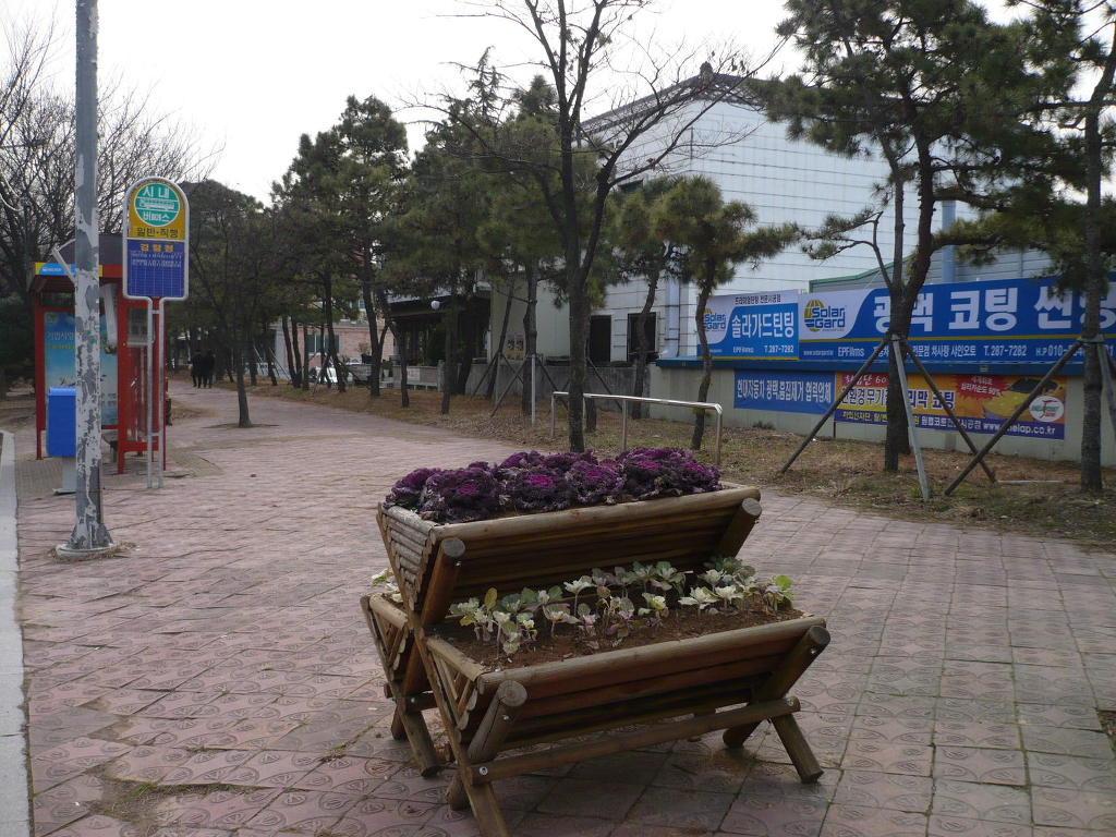 차사랑오토 이미지