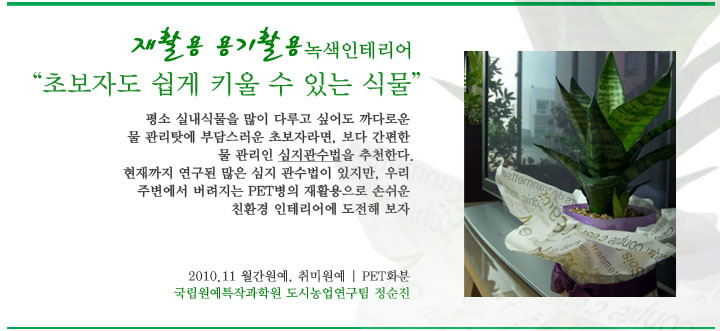 녹색인테리어 이미지