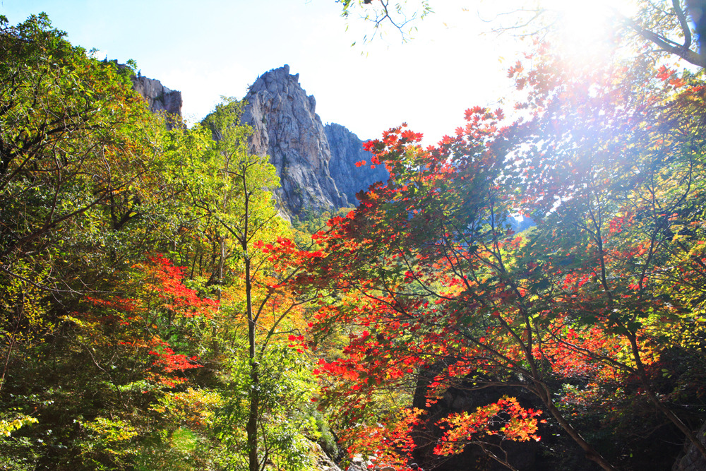 설악산가방 이미지