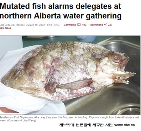 원진환경 이미지
