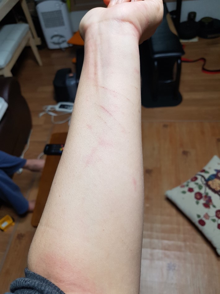 애견미용사가 술을먹으면 안되는이유.. | 인스티즈