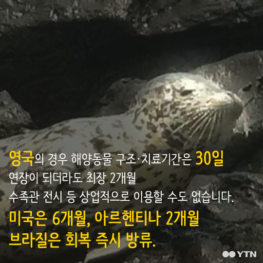 멸종 위기종을 수족관에 전시하는 이상한 나라 | 인스티즈