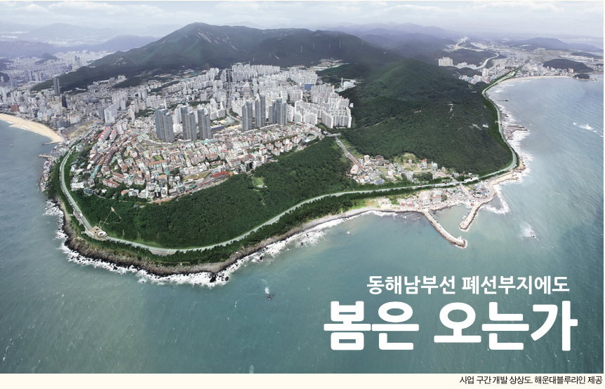 블루에스앤씨 이미지