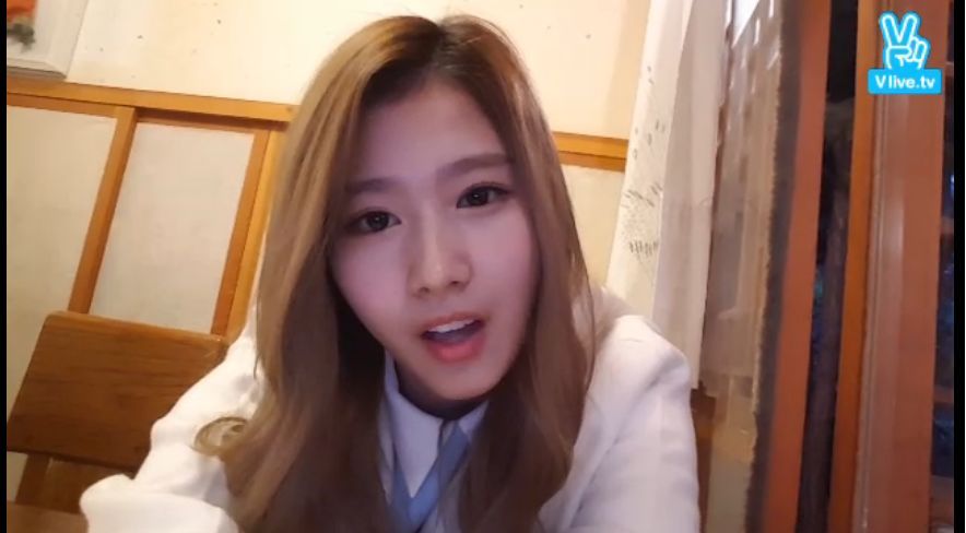 [트와이스] 꿀눈빛 떨어지는 시바견 닮은 여자 | 인스티즈
