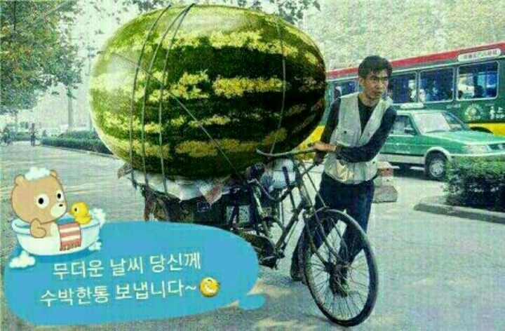방방통신 이미지