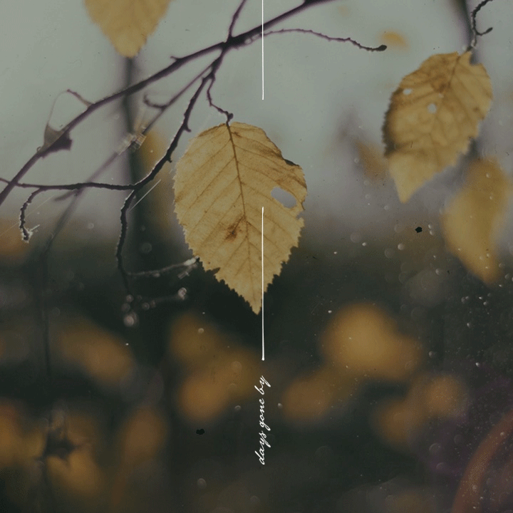  봤던 영화를 몇 번이고 다시 보는 이유 | 인스티즈