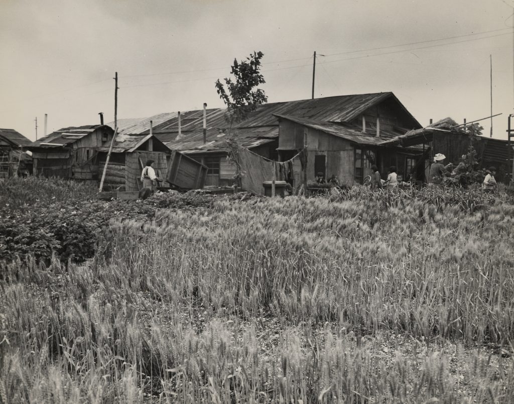 1953년 일본 도쿄 | 인스티즈