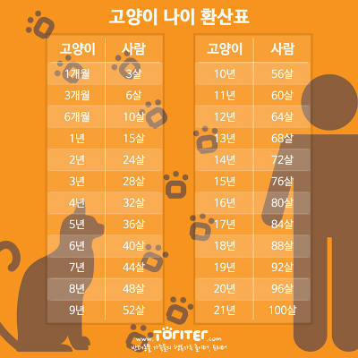 개 고양이 나이 환산 | 인스티즈