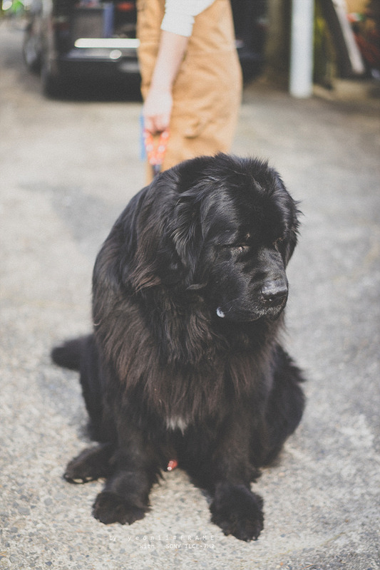 스냅사진 위주의 유치진지한 여행기 - 오사카&교토 (3) | 인스티즈