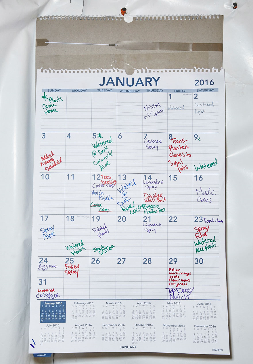 대마초를 키우는 수녀들...jpg | 인스티즈