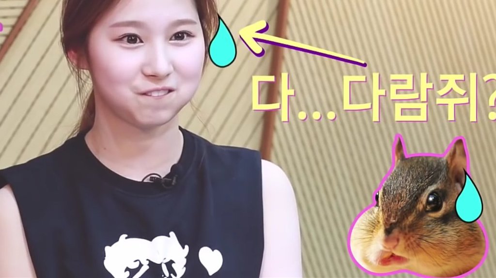 [트와이스] 눈에서 꿀 흐르는 사나.gif | 인스티즈