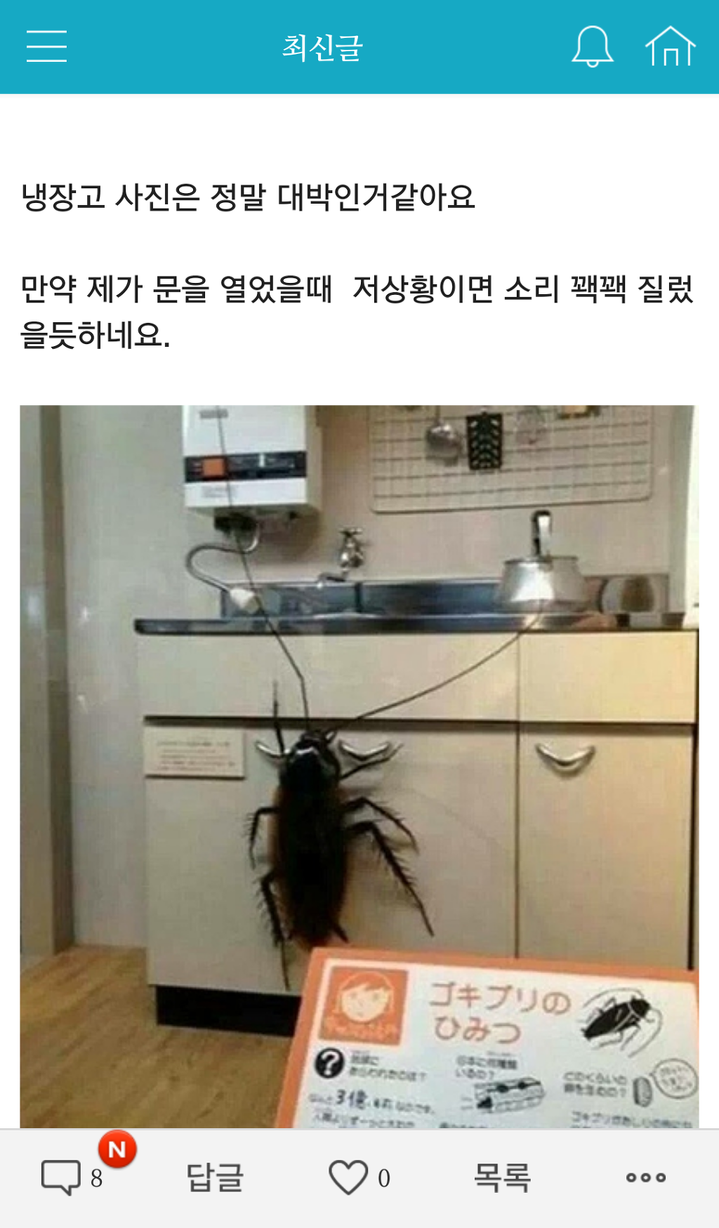 흔하지 않은 관심종자 (혐오주의) | 인스티즈