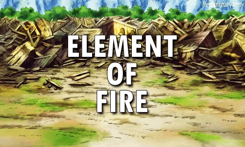 원피스 자연계 상급 열매 .GIF | 인스티즈