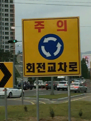 보면 기분이 좋아지는 움짤들 | 인스티즈