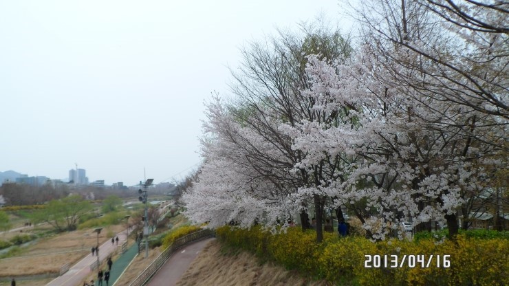 벚꽃에눈이내리면 이미지