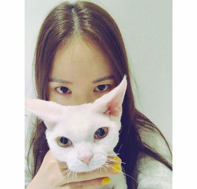 민효린햏이 키우는 반려동물이 왜 자주 바뀌는지 피드백해줬음하오 | 인스티즈