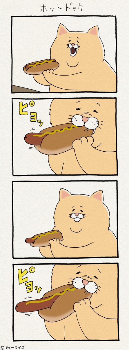 유감스러운 고양이 | 인스티즈