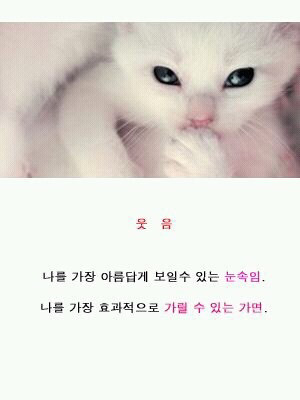 감성있어보이는 배경화면 추천.jpg | 인스티즈