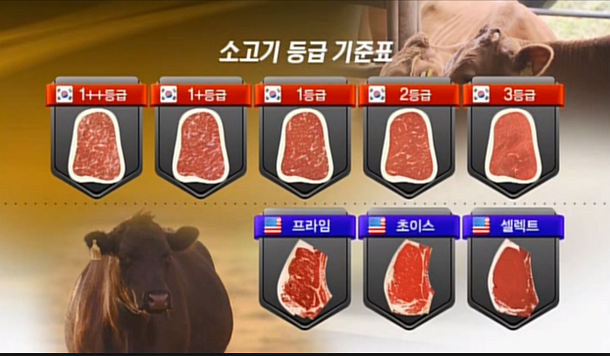 우리나라와 일본 소고기 등급 | 인스티즈
