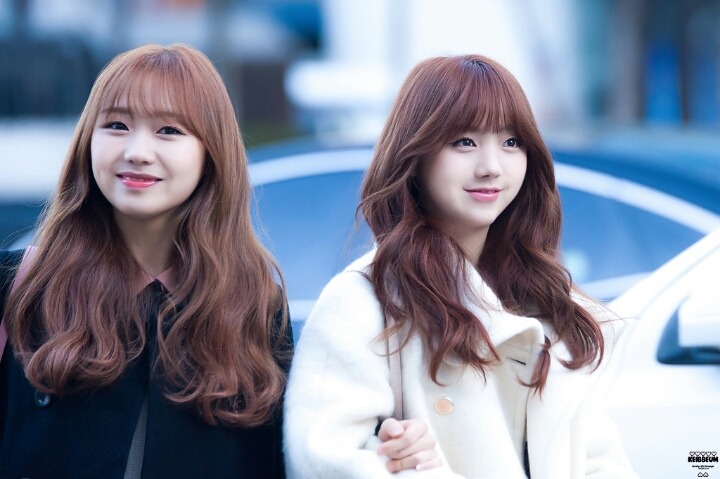 러블리즈 입덕 양대산맥 | 인스티즈