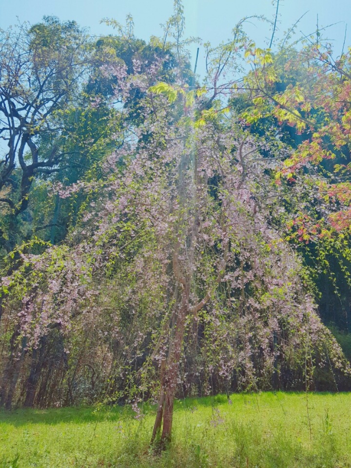 일본 시골마을에서 찍은 사진들-2 | 인스티즈