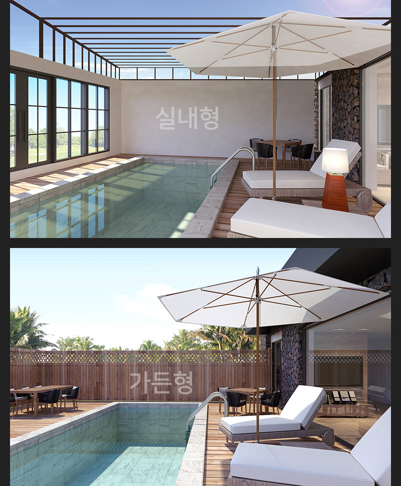 해안초 이미지