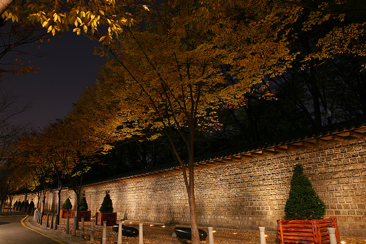  감성 돋는 서울 풍경 | 인스티즈