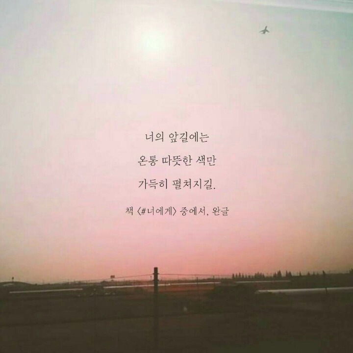 맛있는식당 이미지