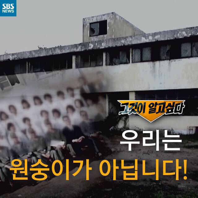 [그것이알고싶다] 우리는 원숭이가 아닙니다 | 인스티즈