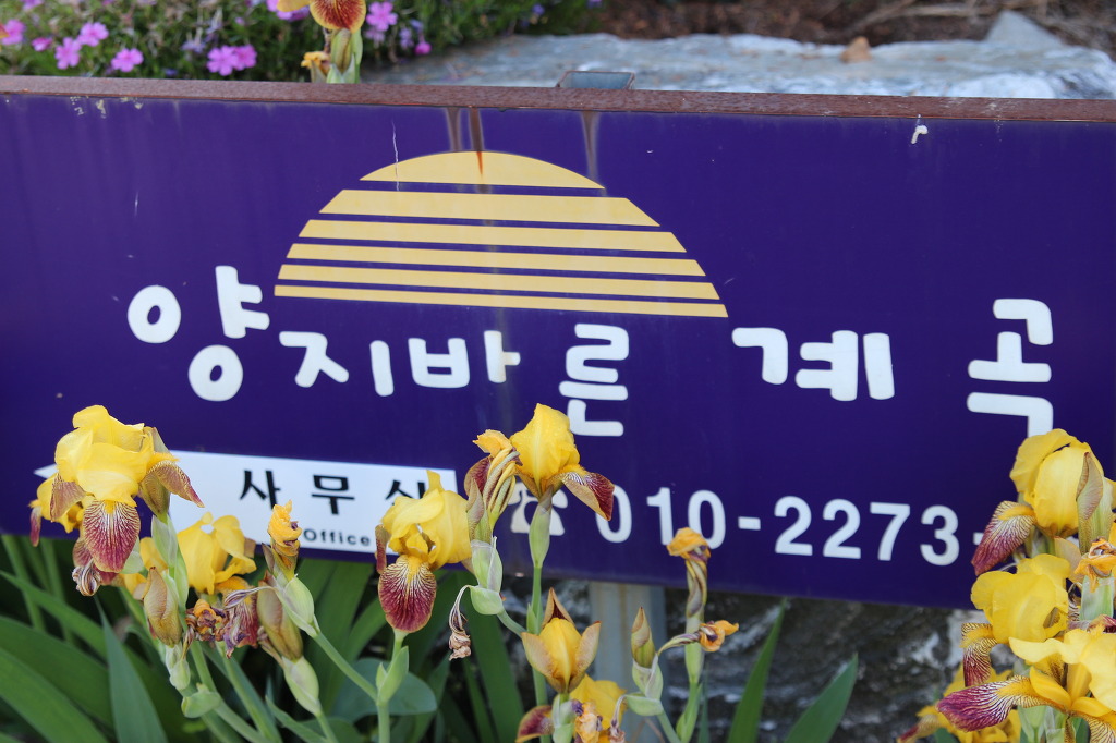 양지바른 이미지
