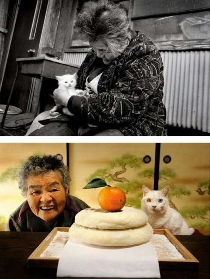 손녀가 찍어준 할머니와 고양이의 동거동락 | 인스티즈
